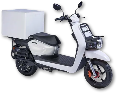 6-image scoot.webp